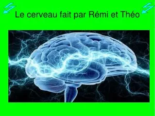 le cerveau fait par r mi et th o