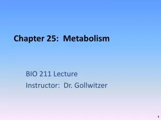 Chapter 25: Metabolism