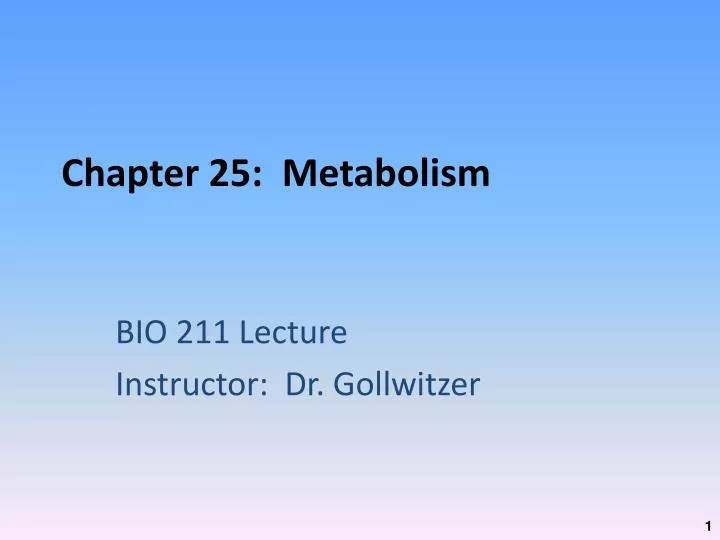chapter 25 metabolism
