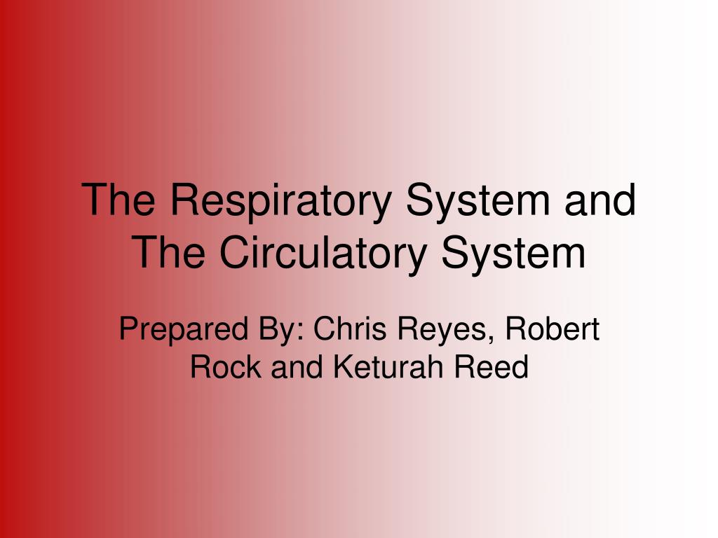 PPT - The Respiratory System and The Circulatory System PowerPoint ...