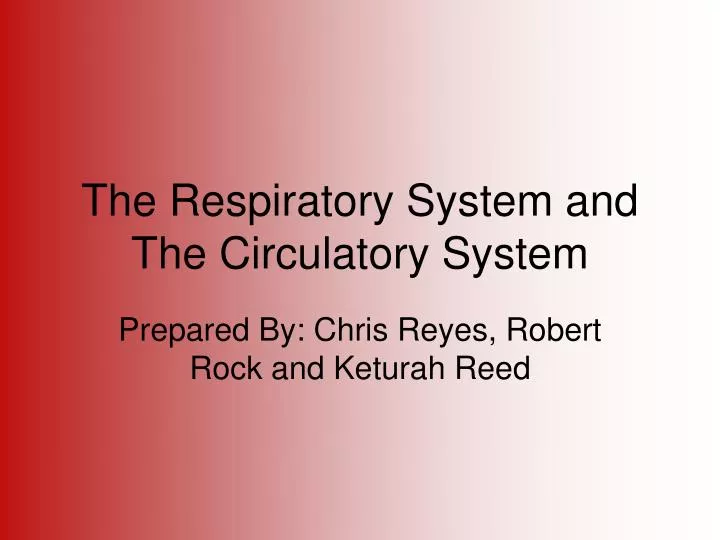the respiratory system and the circulatory system