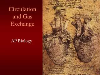 circulation and gas exchange