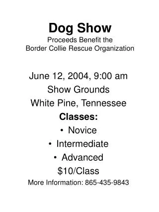 Dog Show Proceeds Benefit the Border Collie Rescue Organization
