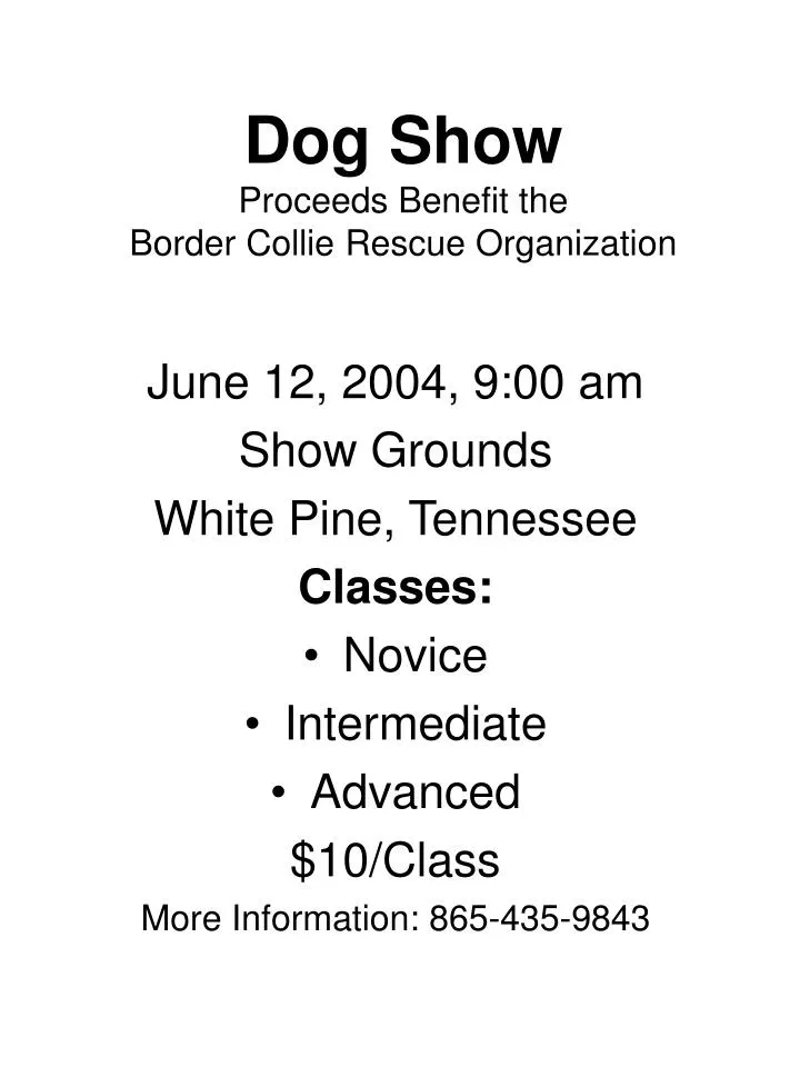dog show proceeds benefit the border collie rescue organization