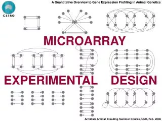 MICROARRAY