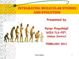 INTEGRATING MOLECULAR STUDIES AND EVOLUTION