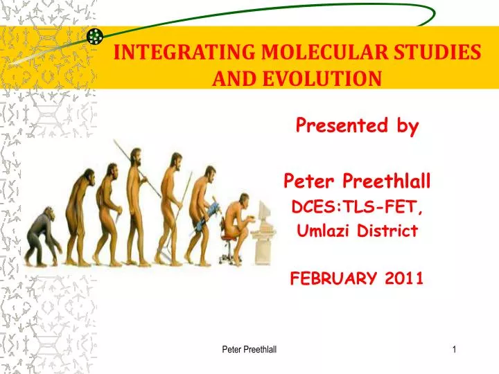 integrating molecular studies and evolution