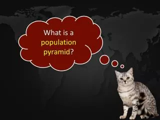 What is a population pyramid ?
