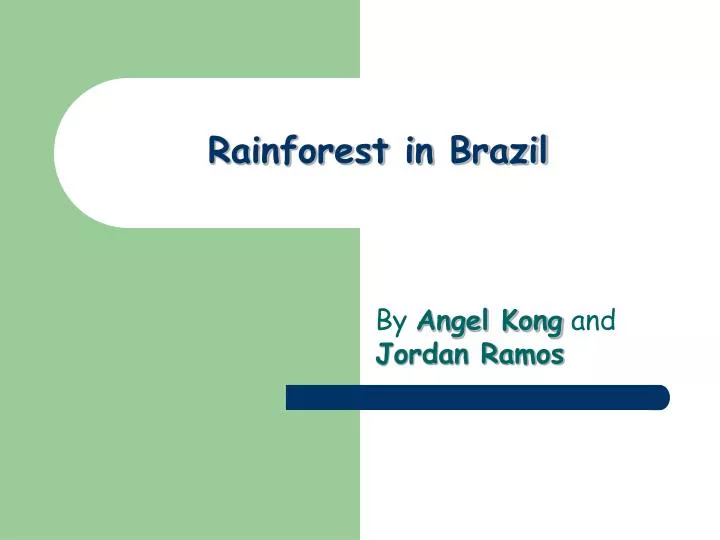 rainforest in brazil