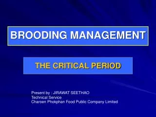 brooding management