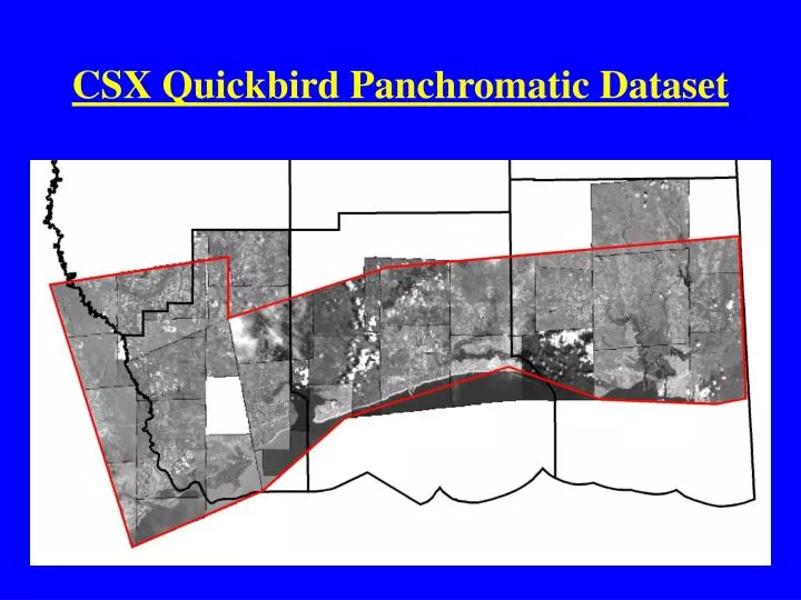 csx quickbird panchromatic dataset