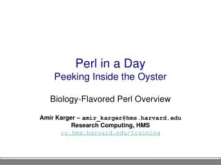 Perl in a Day Peeking Inside the Oyster