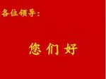各位领导： - slide 1