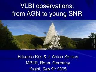 VLBI observations: from AGN to young SNR