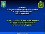 Доповідь завідувача сектору племінної справи в галузі тваринництва Н.В. Жидовцевої - slide 1