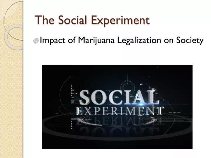the social experiment