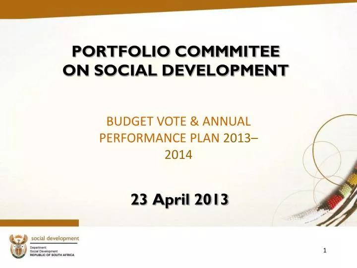portfolio commmitee on social development