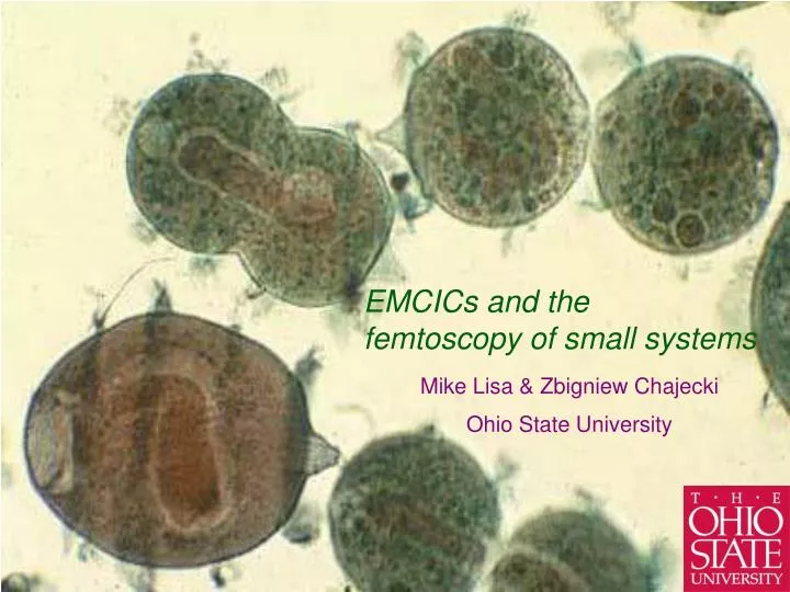 emcics and the femtoscopy of small systems