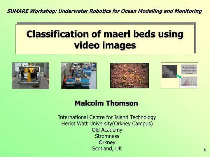 classification of maerl beds using video images