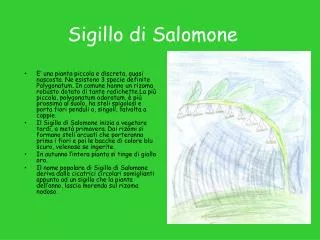 sigillo di salomone