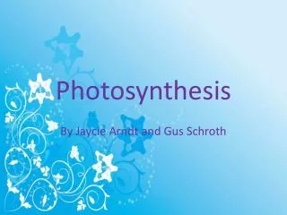 Photosynthesis