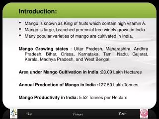 Mango is known as King of fruits which contain high vitamin A.