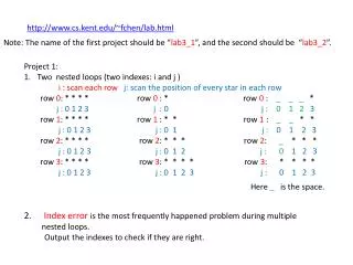 Project 1: Two nested loops (two indexes: i and j )