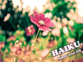 haiku