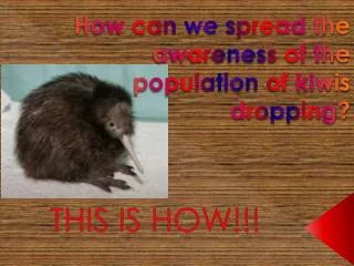 How can we spread the awareness of the population of kiwis dropping?