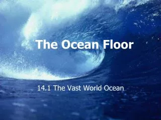 The Ocean Floor