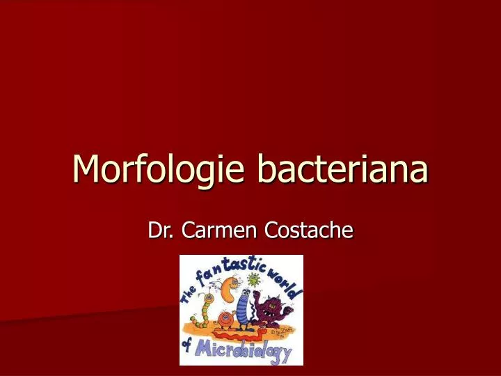 morfologie bacteriana