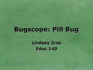 Bugscope: Pill Bug