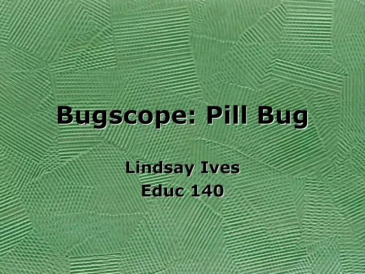 bugscope pill bug