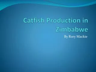 Catfish Production in Zimbabwe