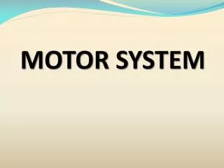 MOTOR SYSTEM