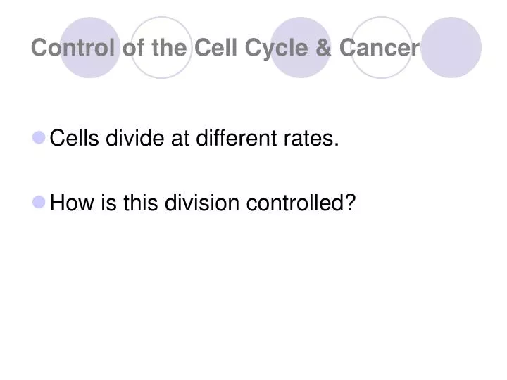 control of the cell cycle cancer