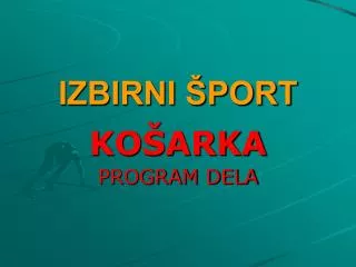 izbirni port