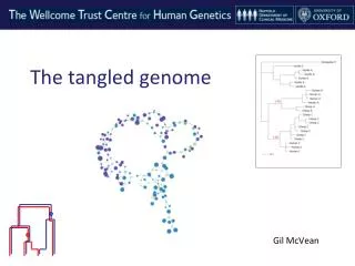 The tangled genome