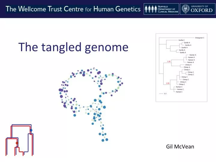 the tangled genome