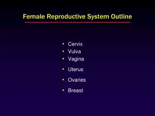 Female Reproductive System Outline