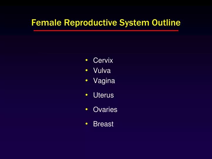 female reproductive system outline