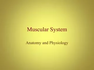 Muscular System