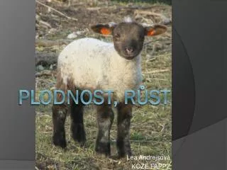 lea andrejsov koze fappz