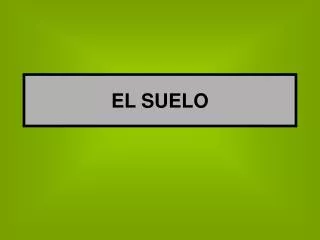 el suelo