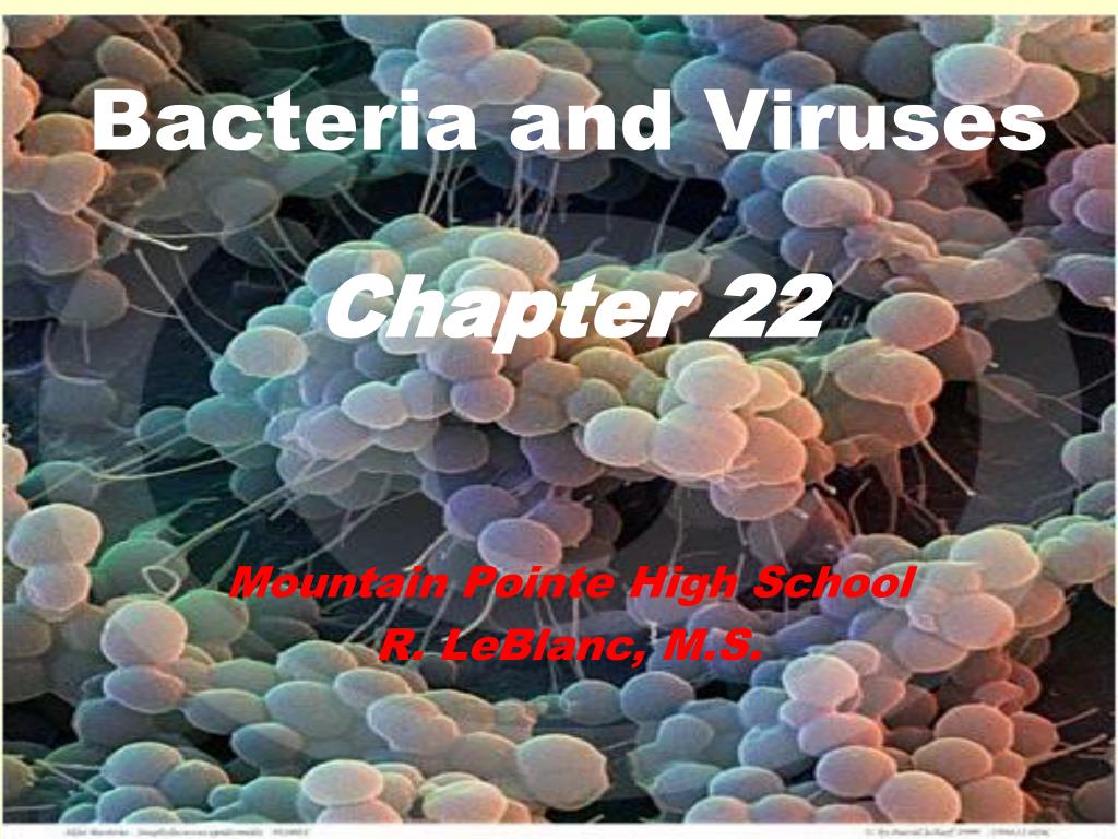 PPT - Bacteria and Viruses PowerPoint Presentation, free download - ID ...