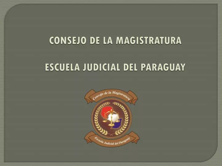consejo de la magistratura escuela judicial del paraguay