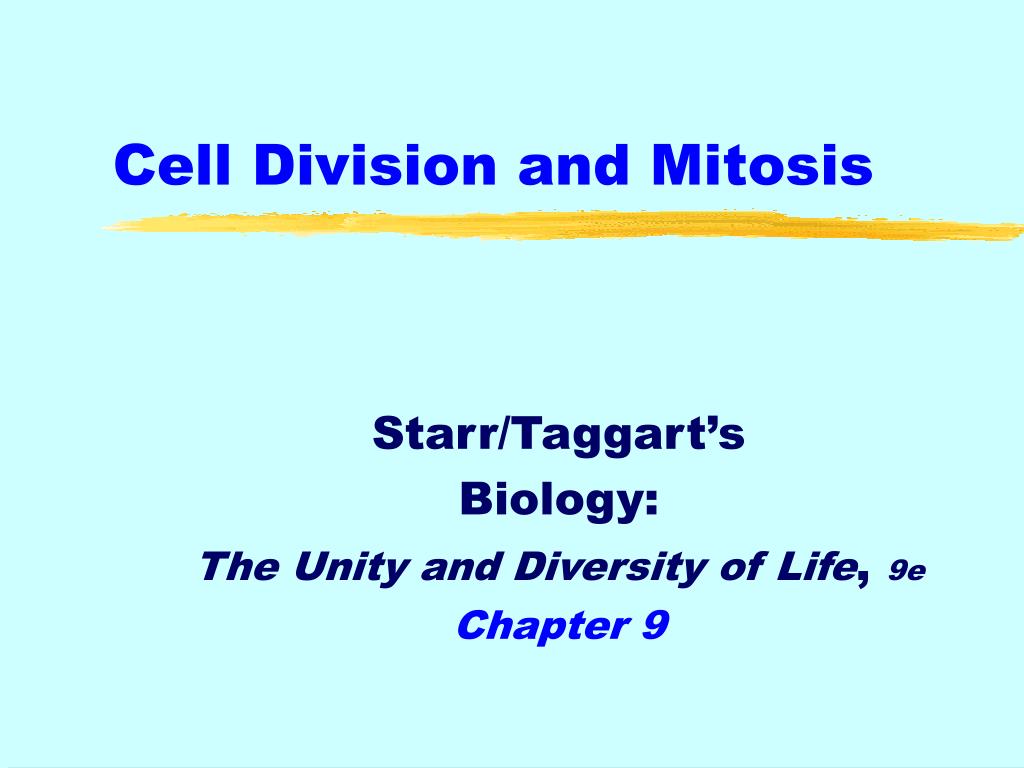PPT - Cell Division and Mitosis PowerPoint Presentation, free download ...