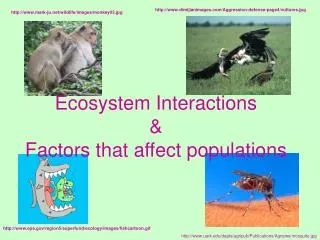 Ecosystem Interactions &amp; Factors that affect populations