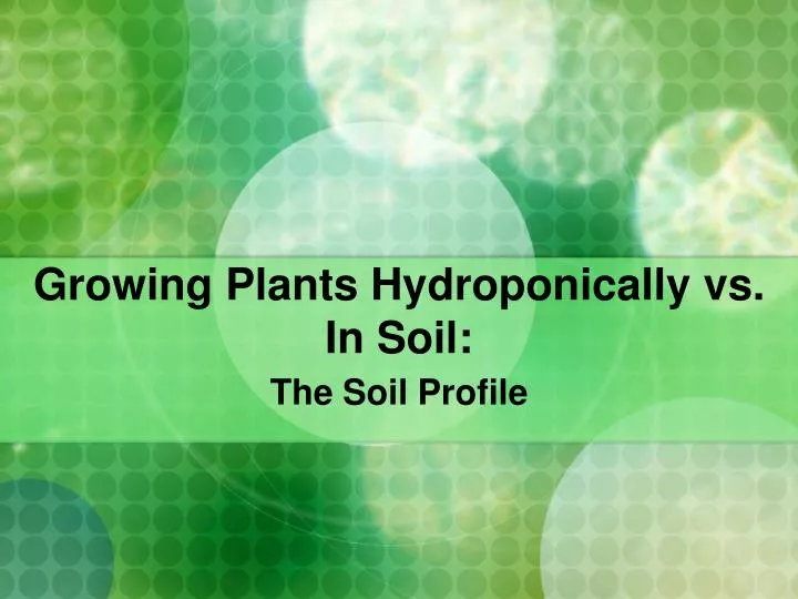 growing plants hydroponically vs in soil