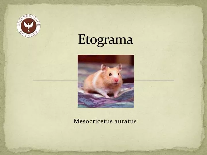 etograma